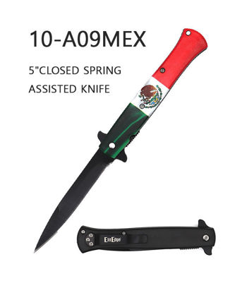 Picture of A09MEX