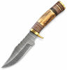 Picture of DM-10WT