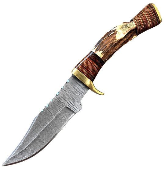 Picture of DM-10OR
