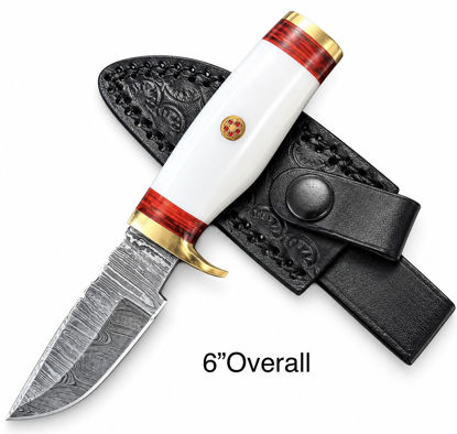 Picture of DM-S03
