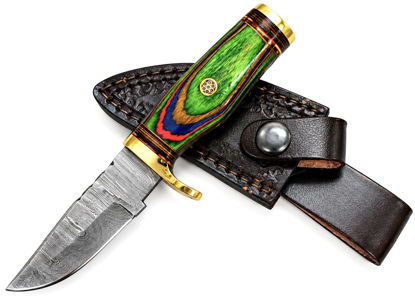 Picture of DM-S01